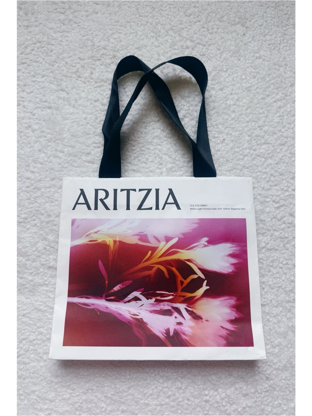Aritzia Shopping Bag